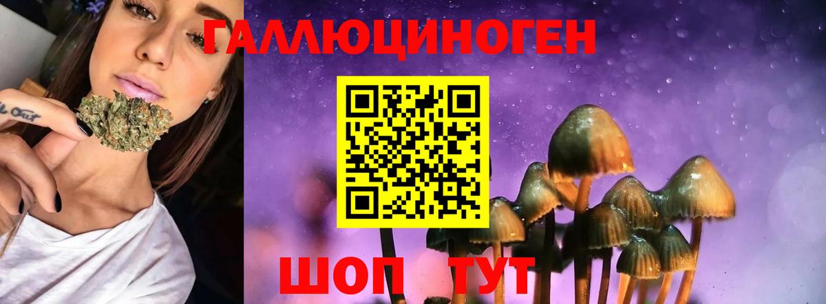 Псилоцибиновые грибы Psilocybine cubensis  Вход с VPN  Орёл  Псилоцибиновые грибы прущие грибы 